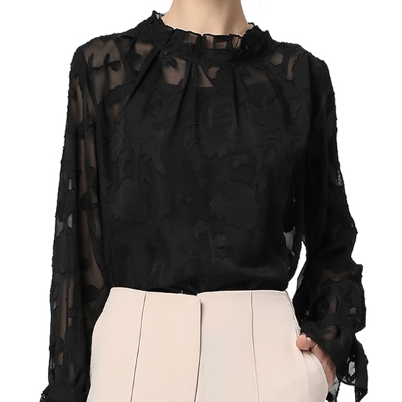 NWT Black Ruffled Trim Semi-Sheer Chiffon Blouse - Picture 1 of 3